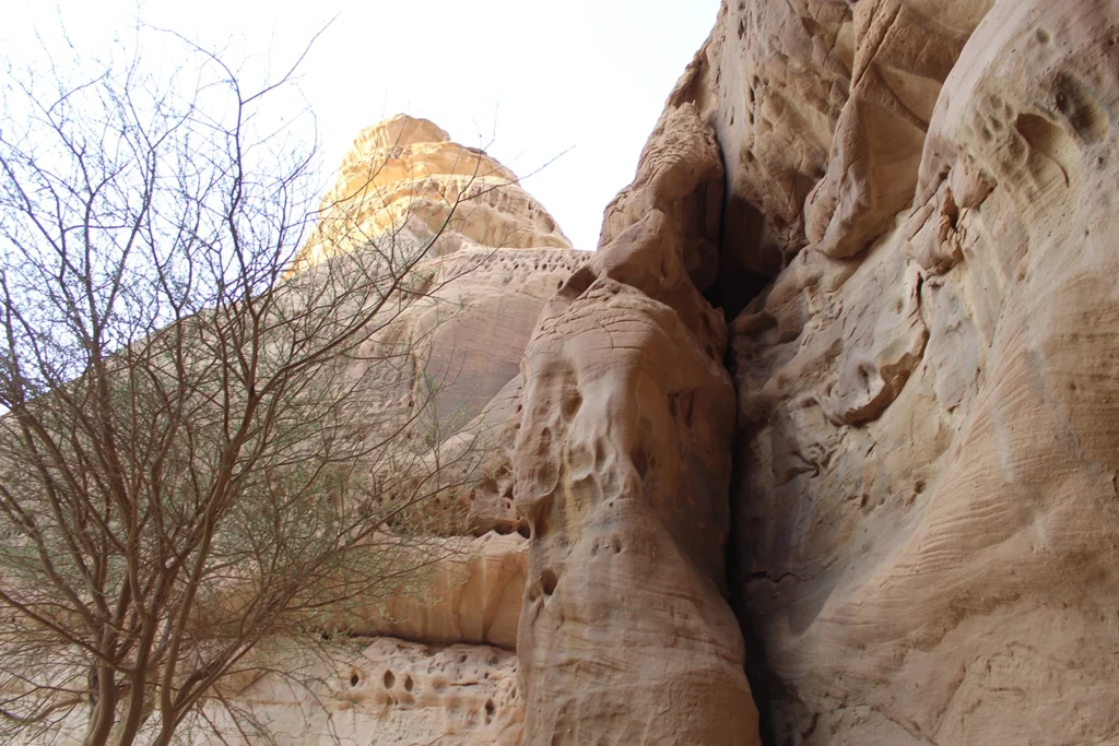 جولة الحجر في العلا