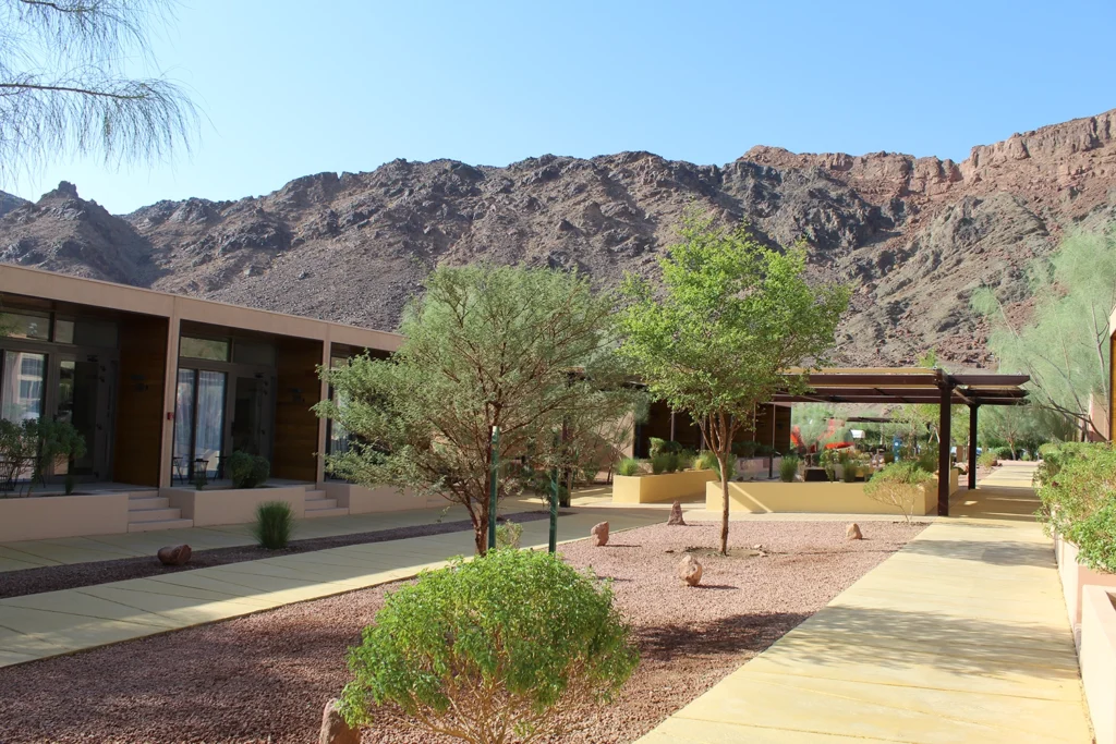 منتجع Cliu 7 residence العلا